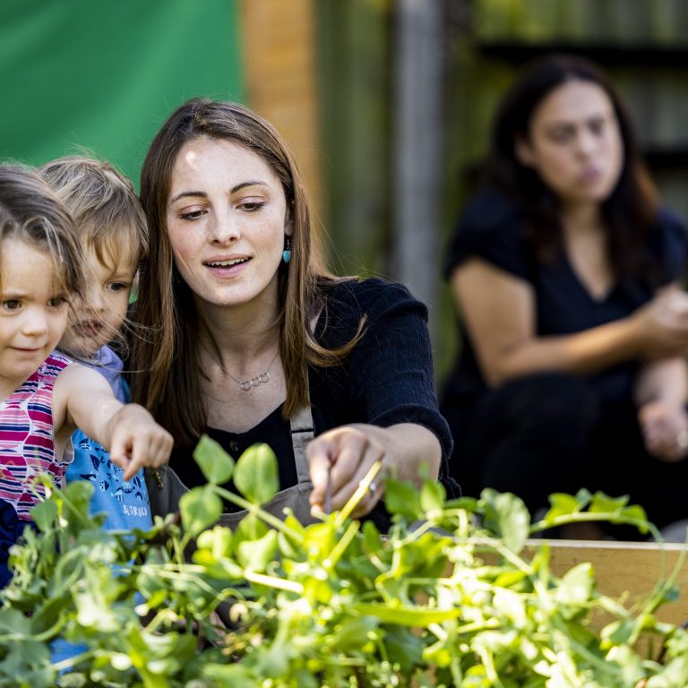 Children looking at plants in the garden